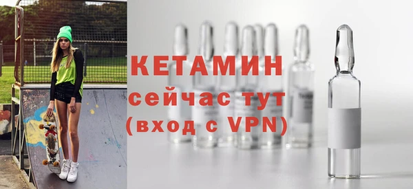 хмурый Верея