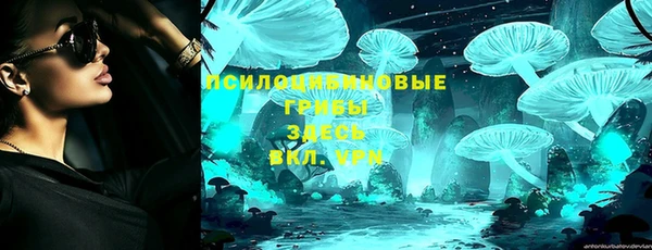 гидра Бронницы